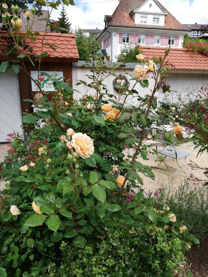 B&B Rosenliebe Niedereschach Dış mekan fotoğraf