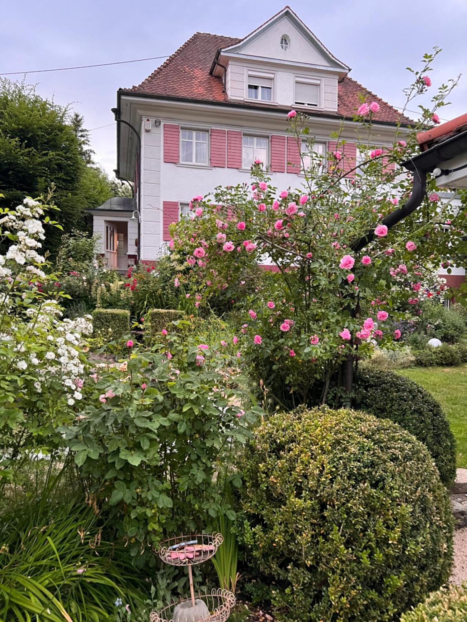 B&B Rosenliebe Niedereschach Dış mekan fotoğraf