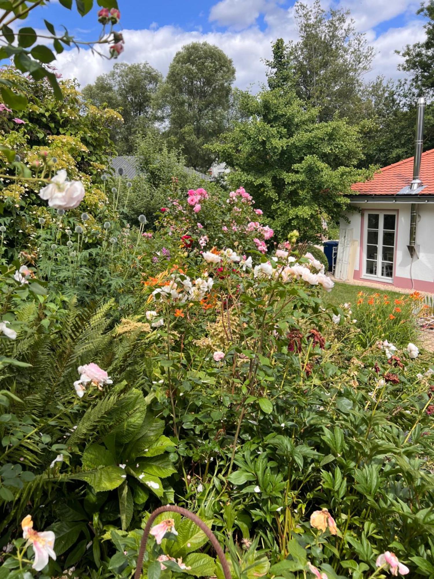 B&B Rosenliebe Niedereschach Dış mekan fotoğraf